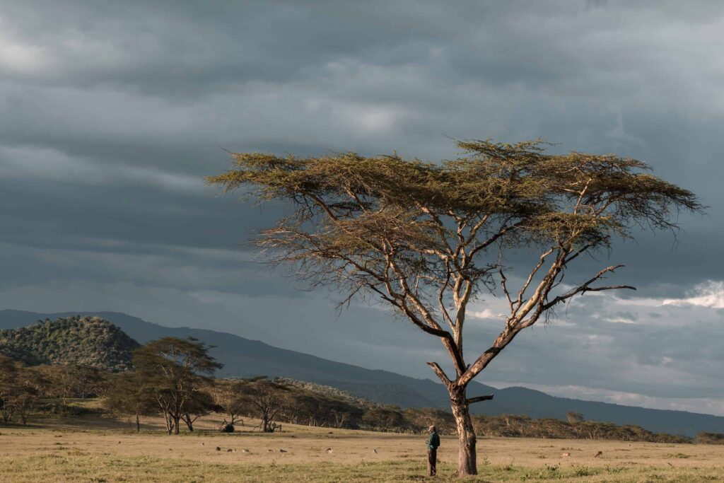 Sunset in Kenya
